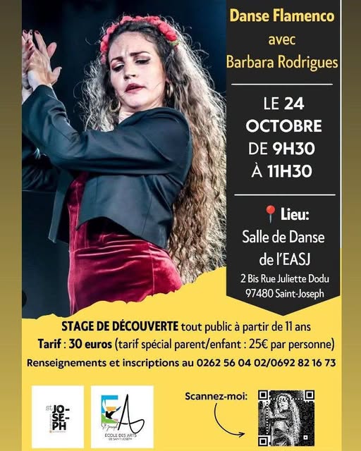 Affiche : 💃 STAGE DE DÉCOUVERTE DU FLAMENCO